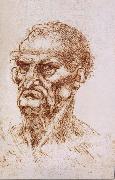 LEONARDO da Vinci Study of an old man Germany oil painting reproduction